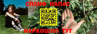 кокс Гатчина