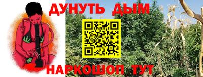 гидра Гай