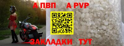 кокс Гатчина