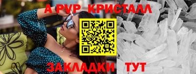 кокс Гатчина