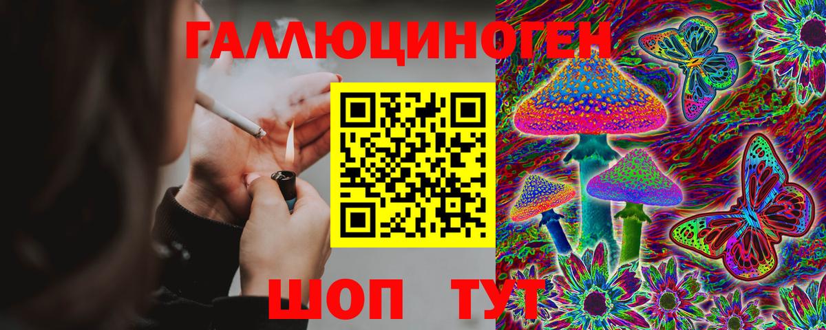 купить наркотик  Вход с VPN  Морозовск  Псилоцибиновые грибы MAGIC MUSHROOMS 
