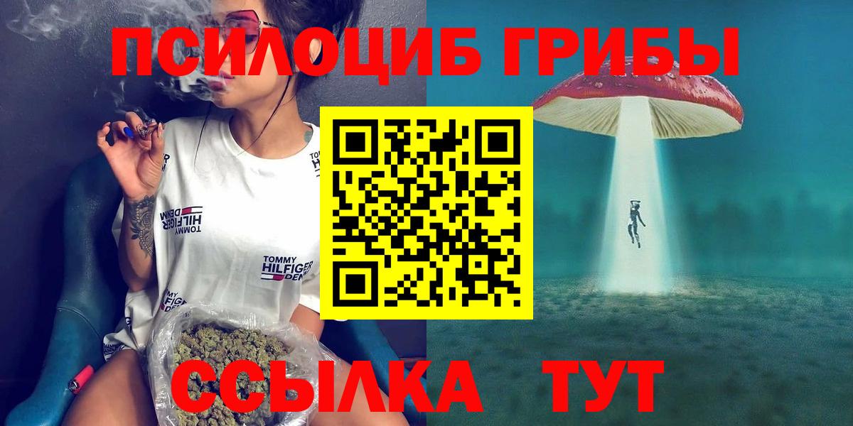 Псилоцибиновые грибы прущие грибы Морозовск